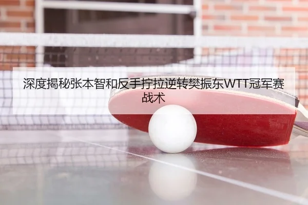 深度揭秘张本智和反手拧拉逆转樊振东WTT冠军赛战术